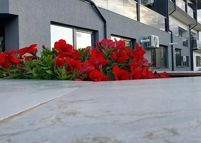 Anelisse Eforie Nord